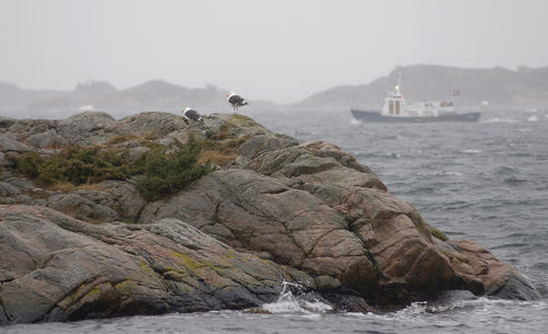 Scenic view of rocks in sea against sky