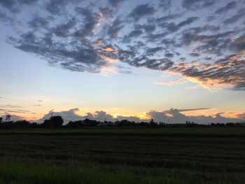 Scenic view of field against sky during sunset