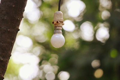 Close-up of light bulb
