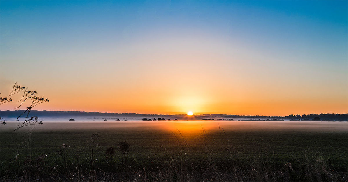 sunset, sun, clear sky, tranquil scene, tranquility, orange color, scenics, copy space, beauty in nature, landscape, field, nature, sunlight, idyllic, grass, water, outdoors, non-urban scene, sky, no people