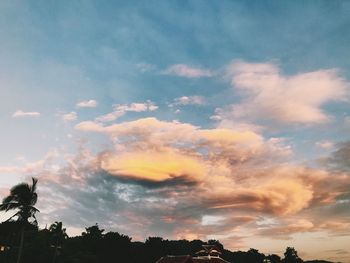 Low angle view of silhouette trees against sky during sunset
