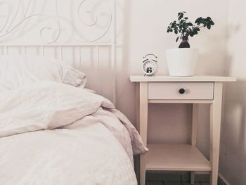 White potted plant on bed at home