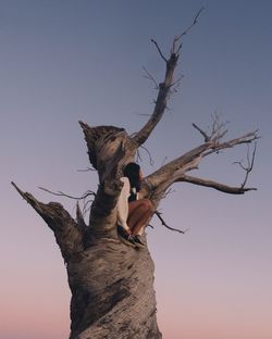 Low angle view of woman sitting on dead tree against sky