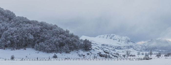 Snow covered trees on field against sky