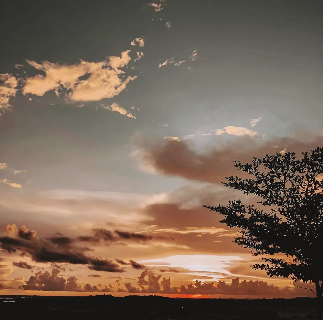 LOW ANGLE VIEW OF SILHOUETTE TREES AGAINST DRAMATIC SKY