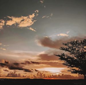 Low angle view of silhouette trees against sky during sunset