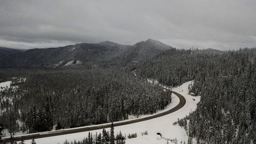 A road winds through the forest in the winter.