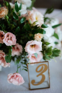 Close-up of pink flowers