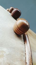 High angle view of shell on table