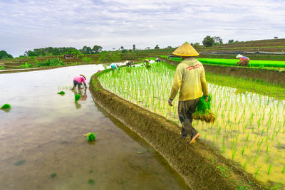 Rear view of woman walking on field