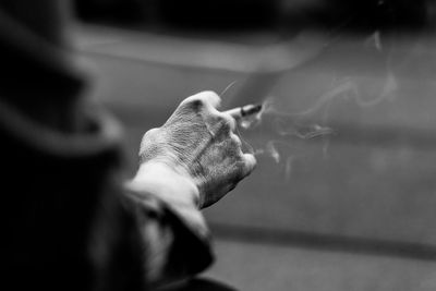 Close-up of hand feeding cat