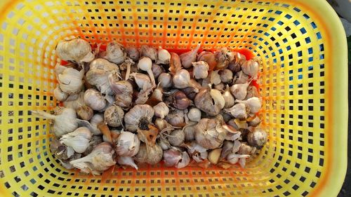 High angle view of garlic