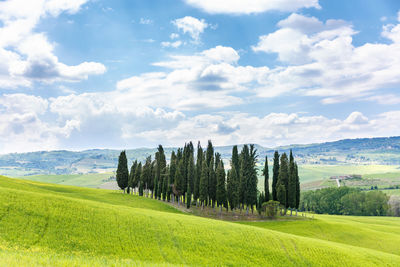 Scenic view of landscape against cloudy sky