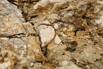 Close-up of heart shape on rock