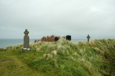 Rear view of man standing on grassy field against sky