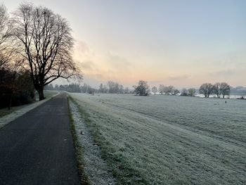 Road amidst bare trees against sky during winter