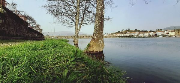 Scenic view of river by buildings against clear sky