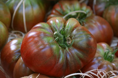 Close-up of tomatoes in market