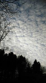 Low angle view of trees against cloudy sky