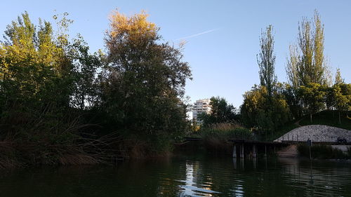 Scenic view of lake in forest against sky