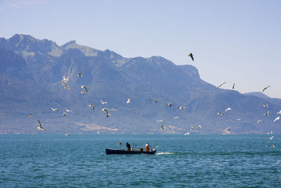 Scenic view of sea against clear sky
