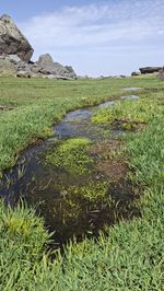 terrain