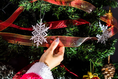 Midsection of person holding christmas tree