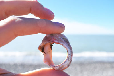 Close-up of hand holding sea shore