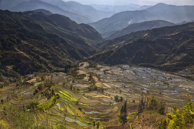High angle view of rice paddy against mountains