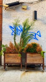 Potted plants on bench against wall