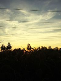 Low angle view of trees against sky at sunset