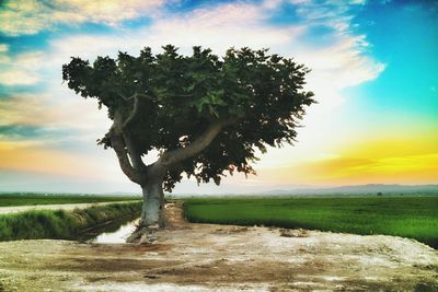 Scenic view of field against cloudy sky