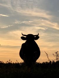 Silhouette horse standing on field against sky during sunset