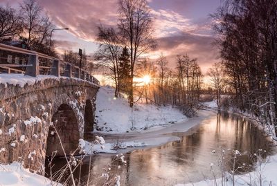 Scenic view of snow covered landscape