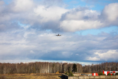 Aeroflot airbus a320. plane take off or landing in sheremetyevo international airport.