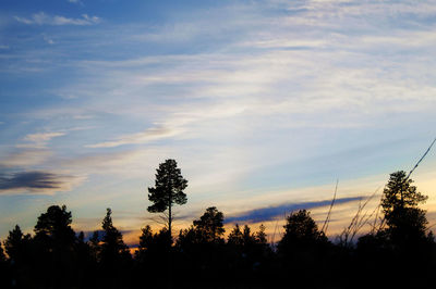 Low angle view of silhouette trees against sky