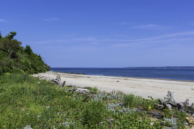 Scenic view of beach against sky
