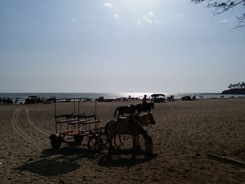 Horses on beach against sky