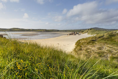 Scenic view of beach against sky