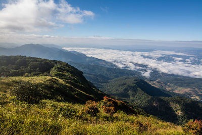 Scenic view of landscape against sky