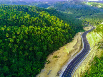 High angle view of road amidst trees