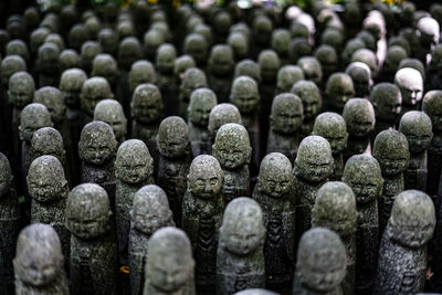 Full frame shot of plants