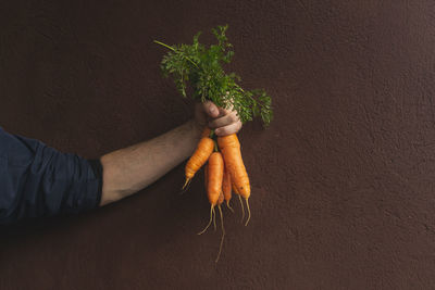 Midsection of man holding ice cream plant