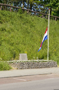 Umbrella on road against trees