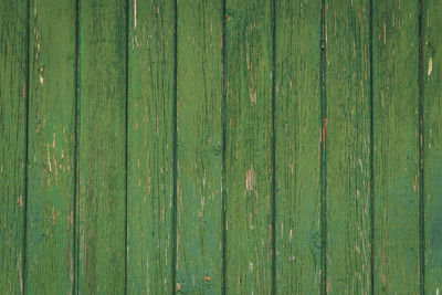 Vertical green vintage weathered textured paint chipped wood panel wall for background texture