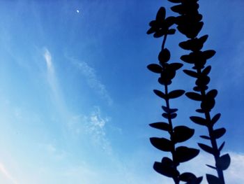 Low angle view of blue sky