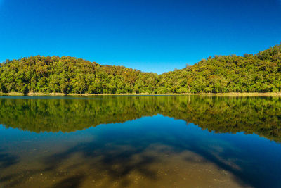 Scenic view of lake by trees against blue sky