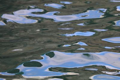 Reflection of trees in water