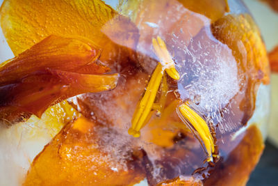 Macro photography of crocosmia in crystal clear ice