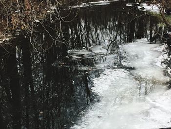 View of stream in forest